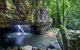 Springbrook AndTamborine Rainforest Tour Incl Natural Bridge And Glow Worm Cave - thumb 8