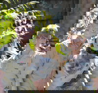 Koala Cuddle Adventure Croc 2 - Schoolies Week Accommodation