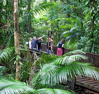 Full Day Daintree Rainforest and Mossman Gorge Tour - Schoolies Week Accommodation