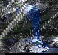 You Choose the Tour Brisbane Private Chauffeur Driven Personal Tour - Schoolies Week Accommodation