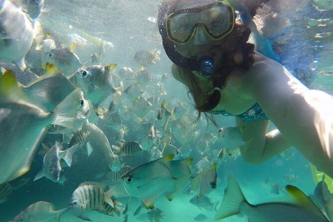 Moreton Island Snorkel And Sandboarding 4WD Day Trip From Brisbane - Schoolies Week Accommodation 7