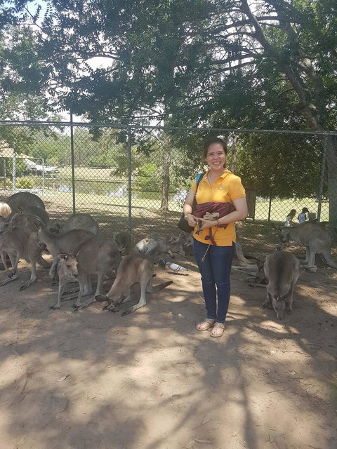 Lone Pine Koala Sanctuary Admission With Brisbane River Cruise - Schoolies Week Accommodation 17