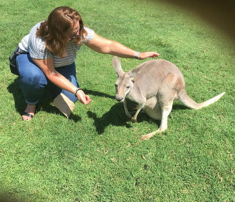 Lone Pine Koala Sanctuary Admission With Brisbane River Cruise - Schoolies Week Accommodation 13