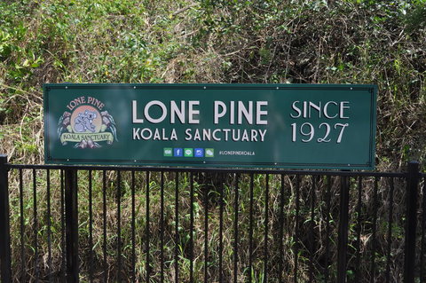 Lone Pine Koala Sanctuary Admission With Brisbane River Cruise - Schoolies Week Accommodation 7