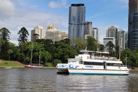 Lone Pine Koala Sanctuary Admission With Brisbane River Cruise - Schoolies Week Accommodation 32