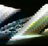 World Heritage Springbrook National Park Tour Including Natural Bridge - Schoolies Week Accommodation