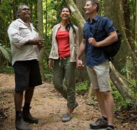 Mossman Gorge Dreamtime Walk and Low Isles Snorkeling and Sailing Cruise - Schoolies Week Accommodation