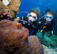 Quicksilver Dive 4 Day PADI Learn to Dive Course - Schoolies Week Accommodation