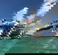 Eco Marine Safari - Boom netting  Snorkeling Moreton Island - Fortitude Valley - Schoolies Week Accommodation