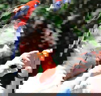 Small-Group 4WD Lamington National Park Day Trip from Brisbane - Schoolies Week Accommodation