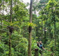 Cape Tribulation and Jungle Surfing Adventure Day from Port Douglas - Schoolies Week Accommodation