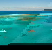 Great Barrier Reef Dive and Snorkel Cruise from Mission Beach - Schoolies Week Accommodation