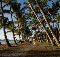 Port Douglas Round-Trip Transfer from Cairns with Free Time in Port Douglas - Schoolies Week Accommodation