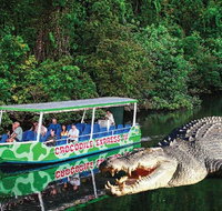 Daintree River Cruise - Schoolies Week Accommodation
