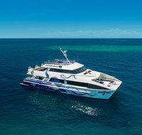 AquaQuest Great Barrier Reef Diving and Snorkeling Cruise from Port Douglas - Schoolies Week Accommodation