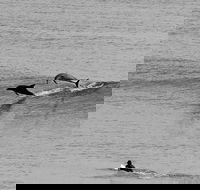 Overnight Tweed Coast Camping and Surfing Getaway From The Gold Coast - Schoolies Week Accommodation