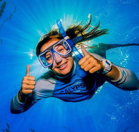 Calypso Outer Great Barrier Reef Cruise from Port Douglas - Schoolies Week Accommodation