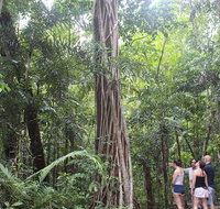 Sightseeing Tour - Half Day - Schoolies Week Accommodation