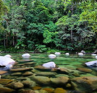 Mossman Silky Oaks to/from Cairns - Schoolies Week Accommodation