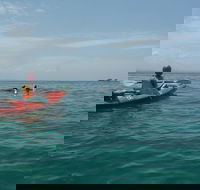 Kayaking with Dolphins in Byron Bay Guided Tour - Schoolies Week Accommodation