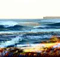 7-Day Byron Bay Evans Head and Moonee Beach Surf Safari from Brisbane Gold Coast or Byron Bay - Schoolies Week Accommodation