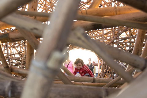 Family Day In Sydney With A Local: Private & Personalized - Schoolies Week Accommodation 7