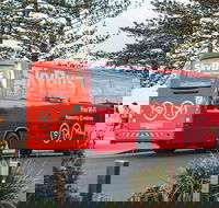 SkyBus Byron Bay Express - Schoolies Week Accommodation