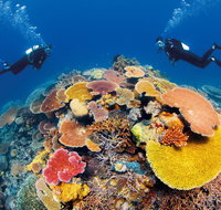 Agincourt Reef - Schoolies Week Accommodation