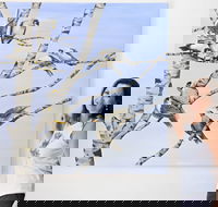 Bingara Gallery - Schoolies Week Accommodation