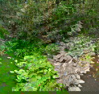 Brindle Creek Walking Track - Schoolies Week Accommodation