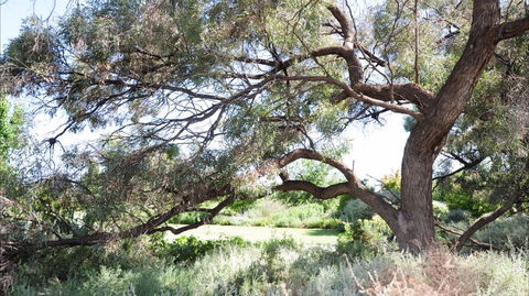 Gathercole Nature Reserve - Schoolies Week Accommodation 0