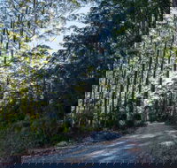 Hastings Forest Way Touring Route - Schoolies Week Accommodation
