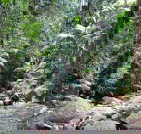 Lyrebird track - Schoolies Week Accommodation
