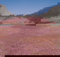 Meekatharra - Schoolies Week Accommodation
