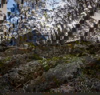 Pheasants Peak Walking Track - Schoolies Week Accommodation