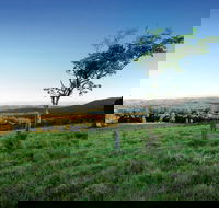 Ravensbourne National Park - Schoolies Week Accommodation