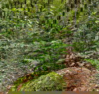 Red Cedar Loop - Schoolies Week Accommodation