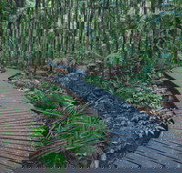 The Channon Protesters Falls Nimbin and Mount Nardi - Schoolies Week Accommodation