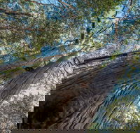 Wallumatta Nature Reserve - Schoolies Week Accommodation