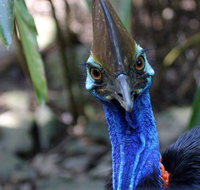 Wildlife Habitat - Schoolies Week Accommodation