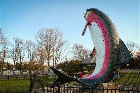 Big Trout - Schoolies Week Accommodation 0