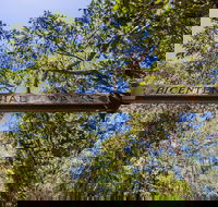 Bribie Island Bicentennial Trails - Schoolies Week Accommodation