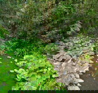 Brindle Creek Picnic Area - Schoolies Week Accommodation