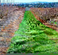 Hall Family Orchards - Schoolies Week Accommodation