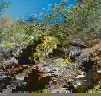 Kroombit Tops National Park - Schoolies Week Accommodation