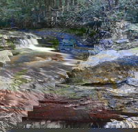 Liffey Falls Reserve - Schoolies Week Accommodation
