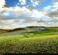Lions Park Hodgson Vale - Schoolies Week Accommodation