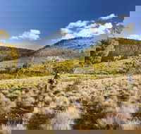 Little Mountain Walking Track - Schoolies Week Accommodation