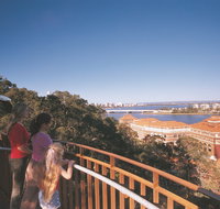 Lotterywest Federation Walkway - Kings Park - Schoolies Week Accommodation