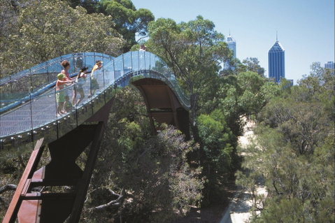 Lotterywest Federation Walkway - Kings Park - Schoolies Week Accommodation 1